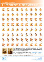 Poster Differentialgeometrie