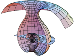 Dggs Differential Geometry And Geometric Structures