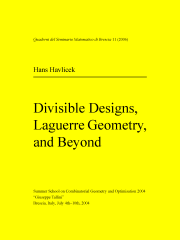 Divisible Designs (2004)