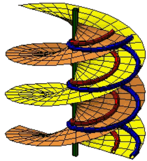 Right helicoid